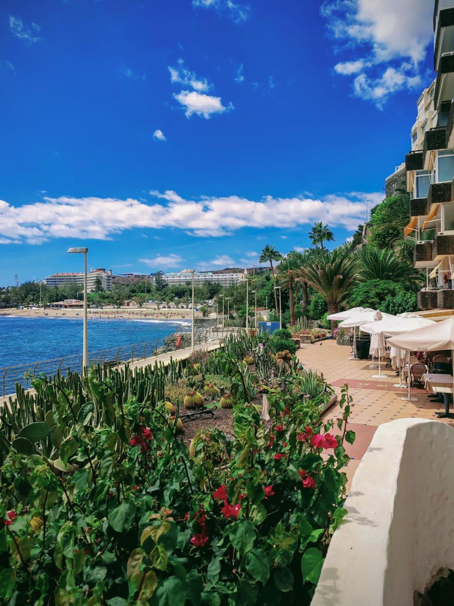 Ocean Studio Maspalomas San Agustín Dış mekan fotoğraf